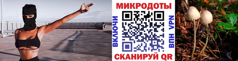 omg зеркало  купить   Лаишево  Псилоцибиновые грибы мицелий 
